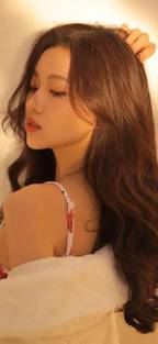 藤本树