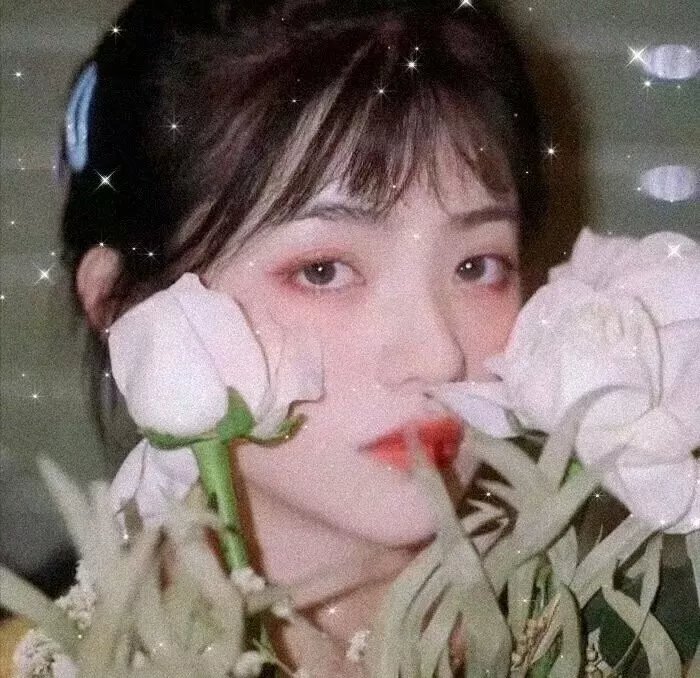 小家伙